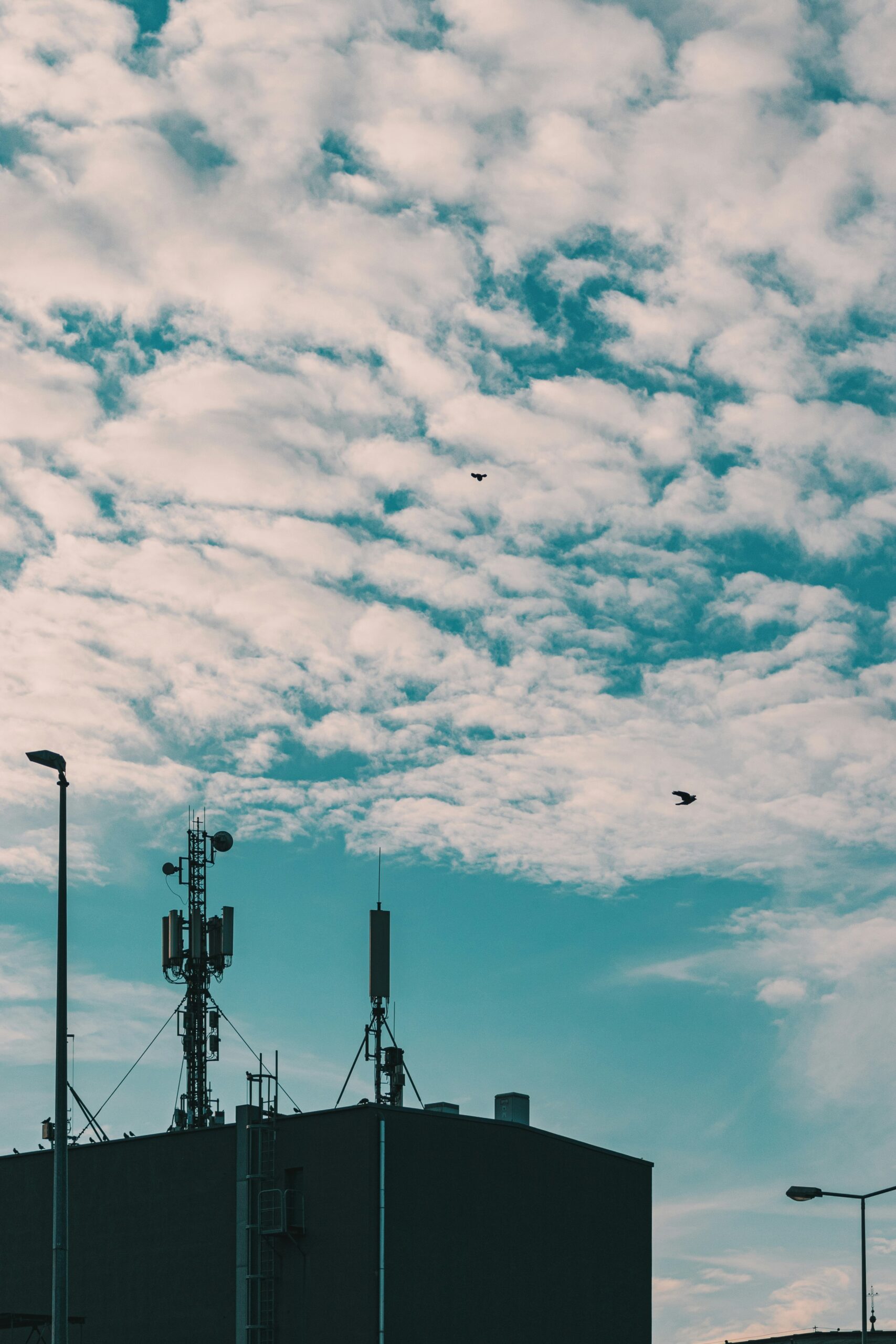 jakub-pabis-V5JgNv2u0JQ-unsplash